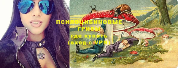 крисы Баксан