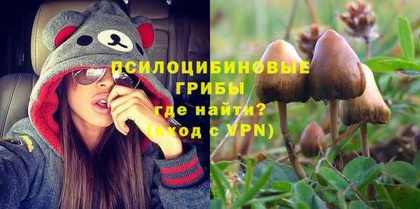 индика Мамадыш