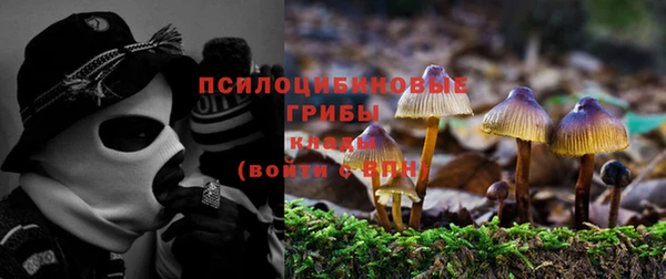первитин Сосновый Бор