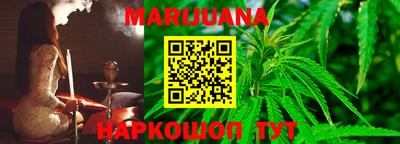 мдпв Бийск