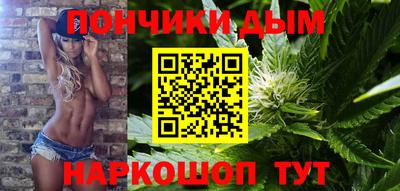 мдпв Бийск