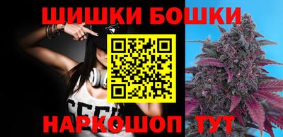 мдпв Бийск