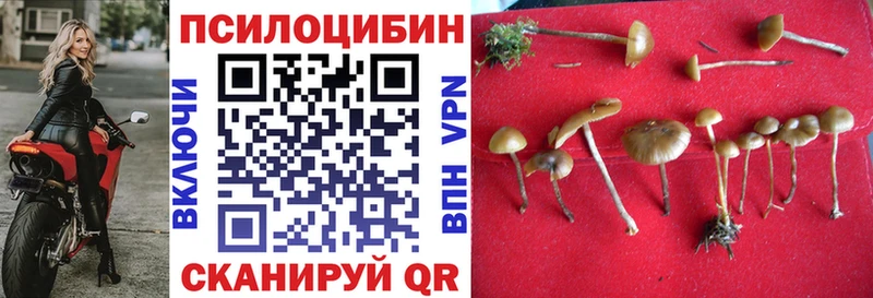 купить наркотики цена Вятские Поляны Галлюциногенные грибы Cubensis