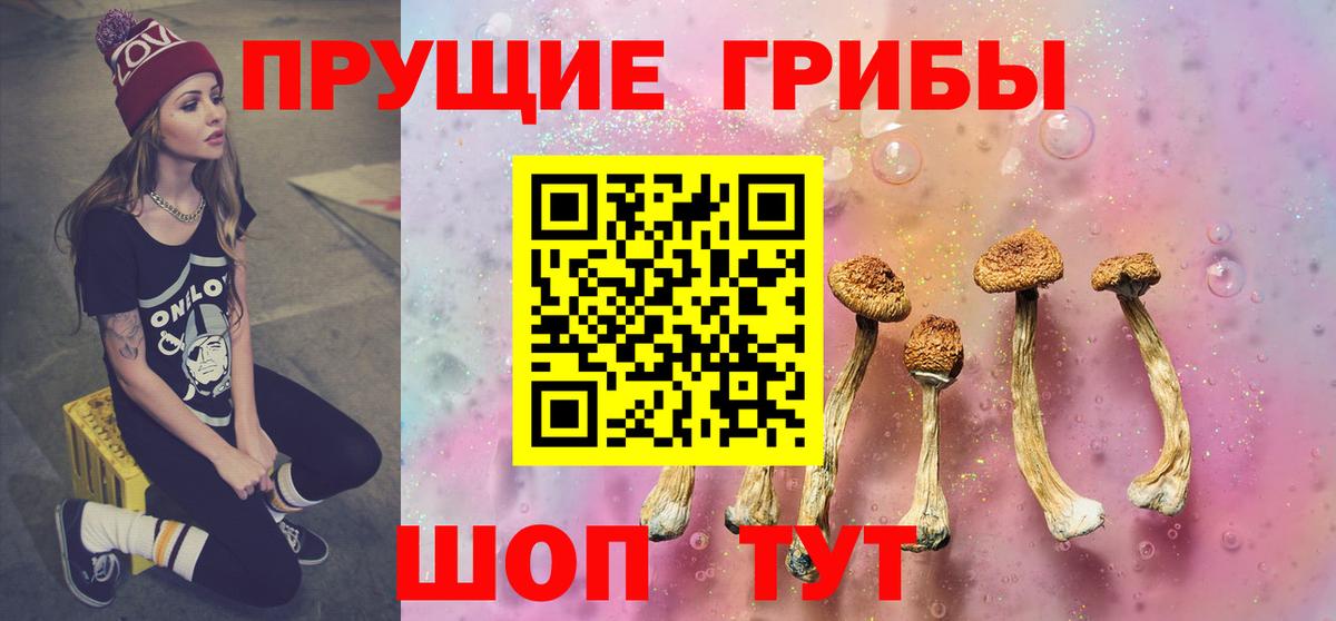 Вятские Поляны  Галлюциногенные грибы MAGIC MUSHROOMS  Вход с VPN 