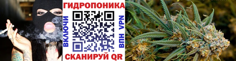 Бошки Шишки конопля  Вятские Поляны 